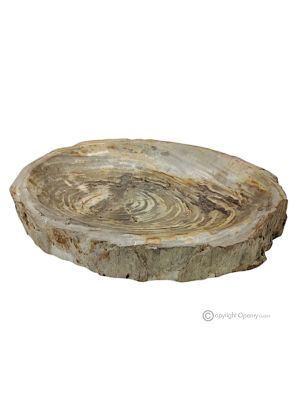 CENTRO DE MESA en piedra de madera fósil elegante, resistente y decorativo, hecho a mano.