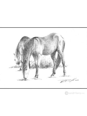 CABALLOS Dibujo con bolígrafo sobre lienzo moderno Made in Italy 