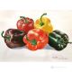 PIMIENTOS Pintura acrílica moderna sobre lienzo Made in Italy 